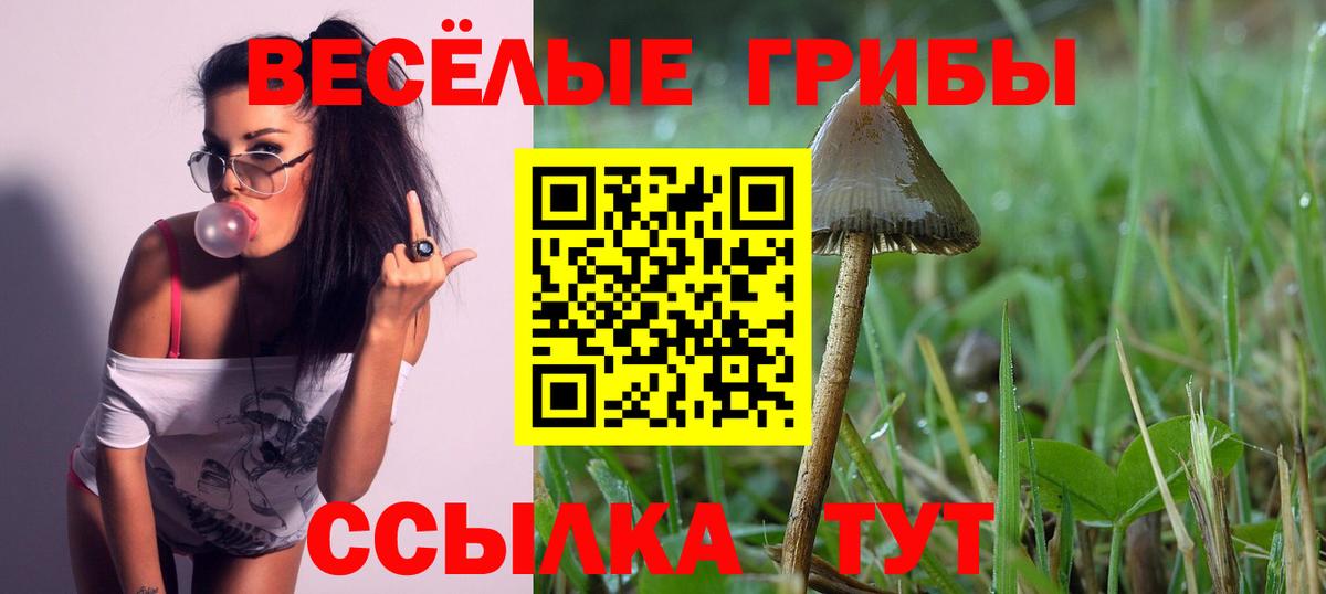 Нарьян-Мар  Псилоцибиновые грибы Magic Shrooms  Вход с VPN 